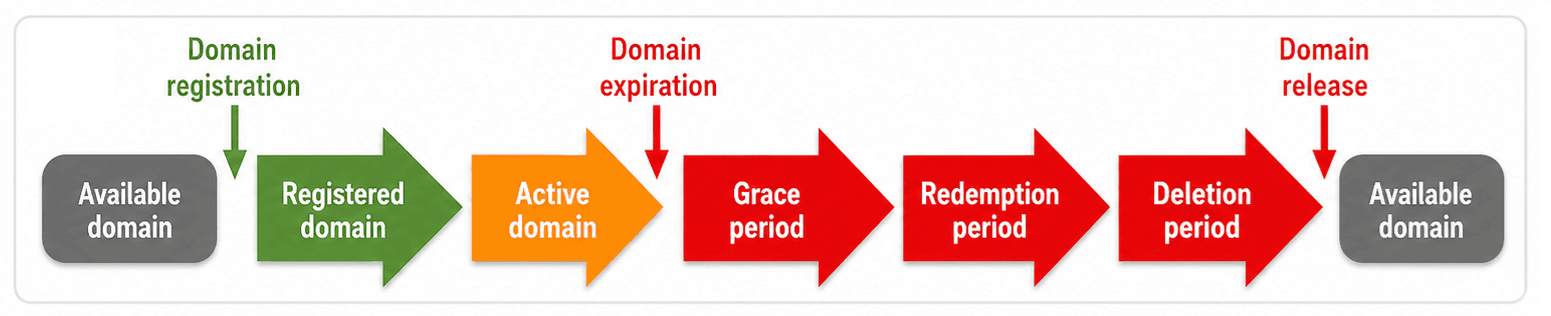 domain lifecycle