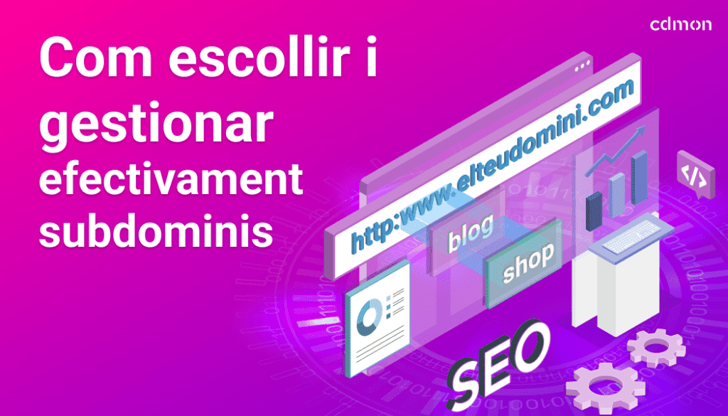 Com escollir i gestionar efectivament subdominis